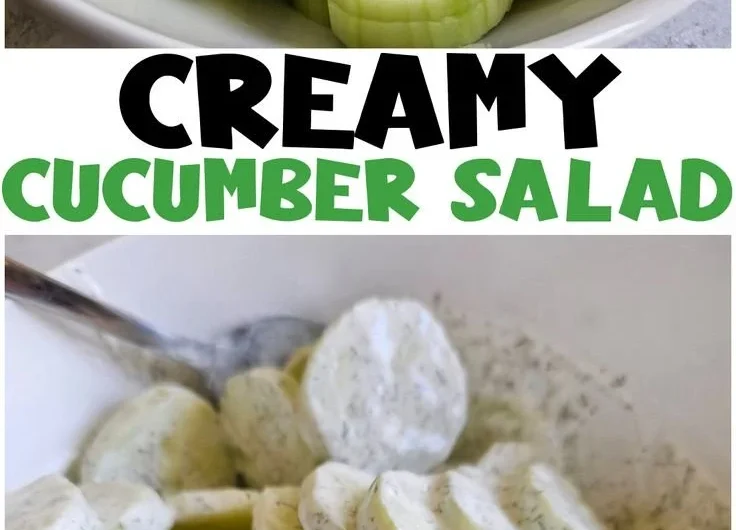 Delicious creamy cucumber salad with fresh ingredients in a bowl