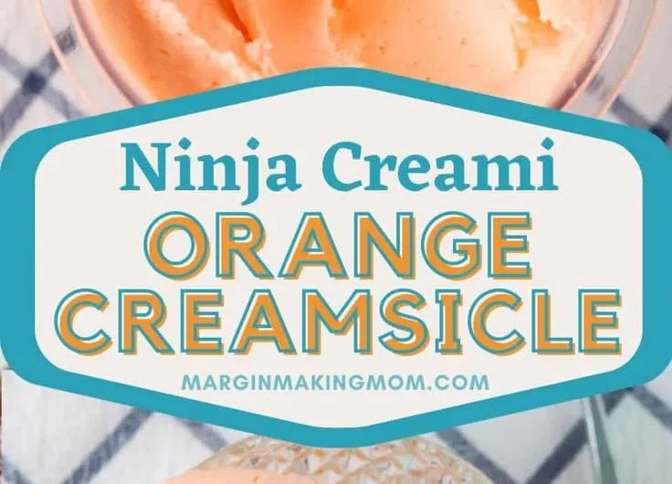 Bowl of homemade Ninja Creami orange ice cream served with orange slices.