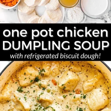 Bowl of homemade Chicken Dumpling Soup with dumplings and vegetables