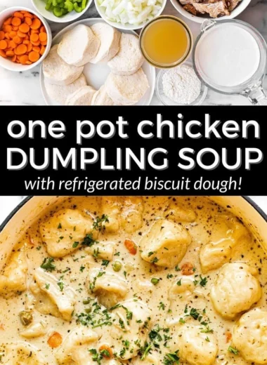 Bowl of homemade Chicken Dumpling Soup with dumplings and vegetables