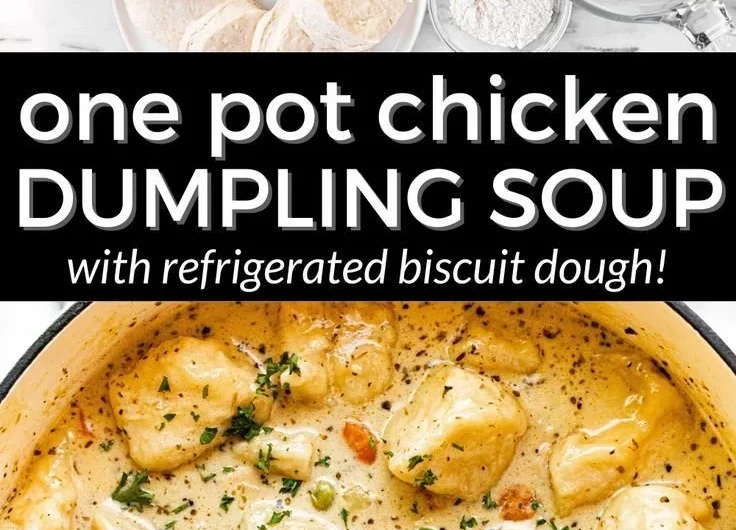 Bowl of homemade Chicken Dumpling Soup with dumplings and vegetables